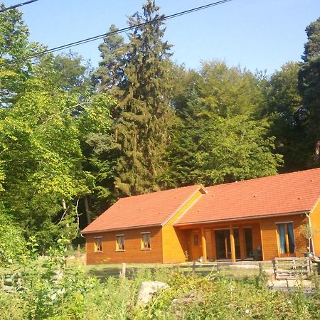 Vosges Chambres D'Hotes Jeanmenil Dış mekan fotoğraf