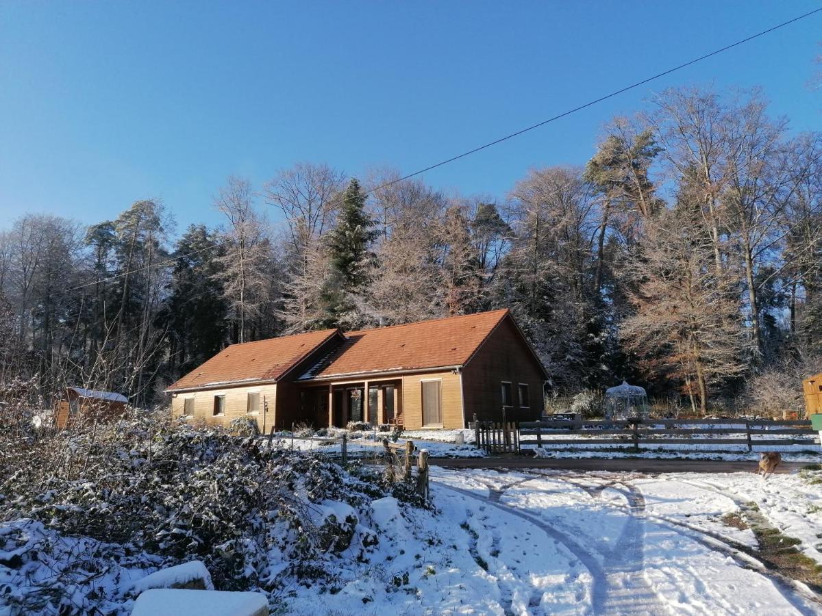 Vosges Chambres D'Hotes Jeanmenil Dış mekan fotoğraf